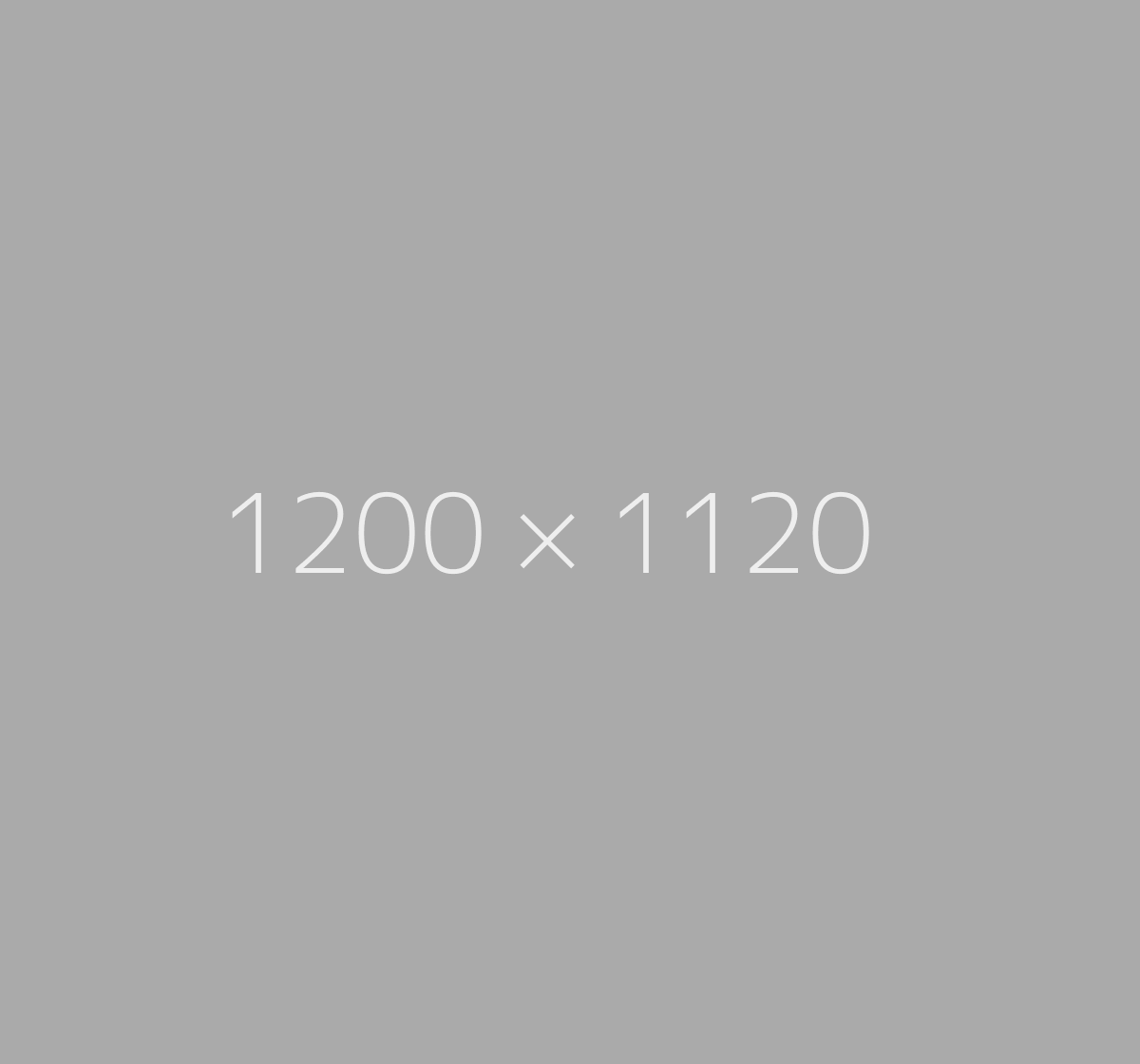 1200x1120